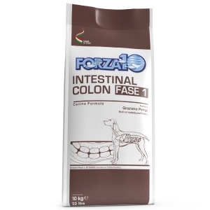 Foto Forza 10 - Active VetDiet Intestinal Colon Fase 1 da 10 Kg