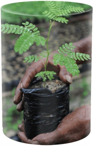 Foto Terra Canis - Save The Planet Tree Lover al Cervo con Castagne, More ed Erbe di Bosco da 400gr