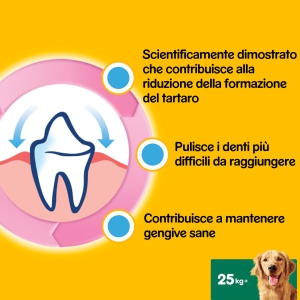 Foto Pedigree - Dentastix Large da 105 Pezzi