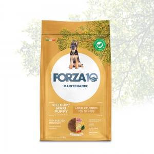 Foto Forza 10 - Maintenance Puppy Medium/Maxi con Pollo e Patate da 12 Kg