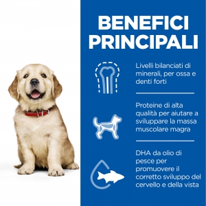 Foto Hill's - Science Plan Canine Puppy Large al Pollo da 14,5 Kg