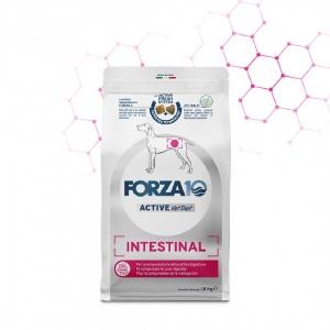 Foto Forza 10 - Active VetDiet Intestinal da 10 kg