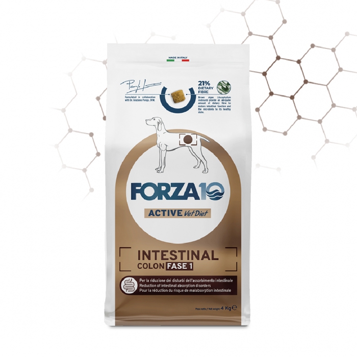 Foto Forza 10 - Active VetDiet Intestinal Colon Fase 1 da 10 Kg