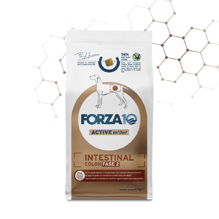 Foto Forza 10 - Active VetDiet Intestinal Colon Fase 2 da 10 Kg